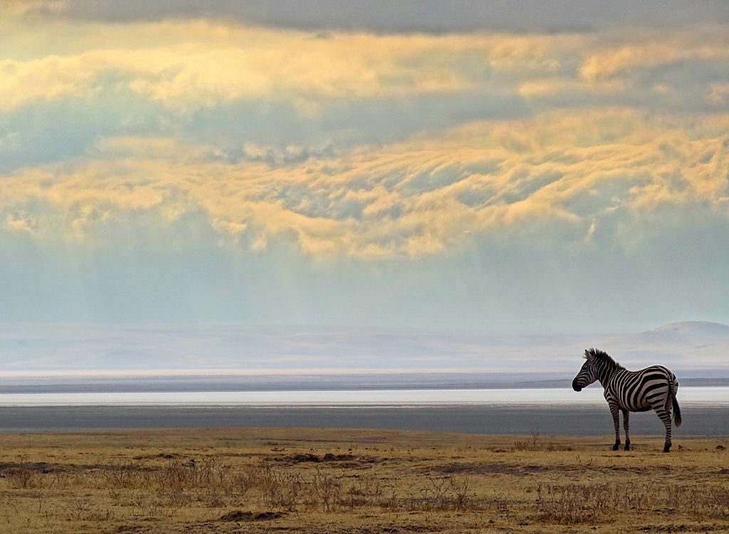 ngorongoro-crater-morning-author-bjorn-christian-torrissen