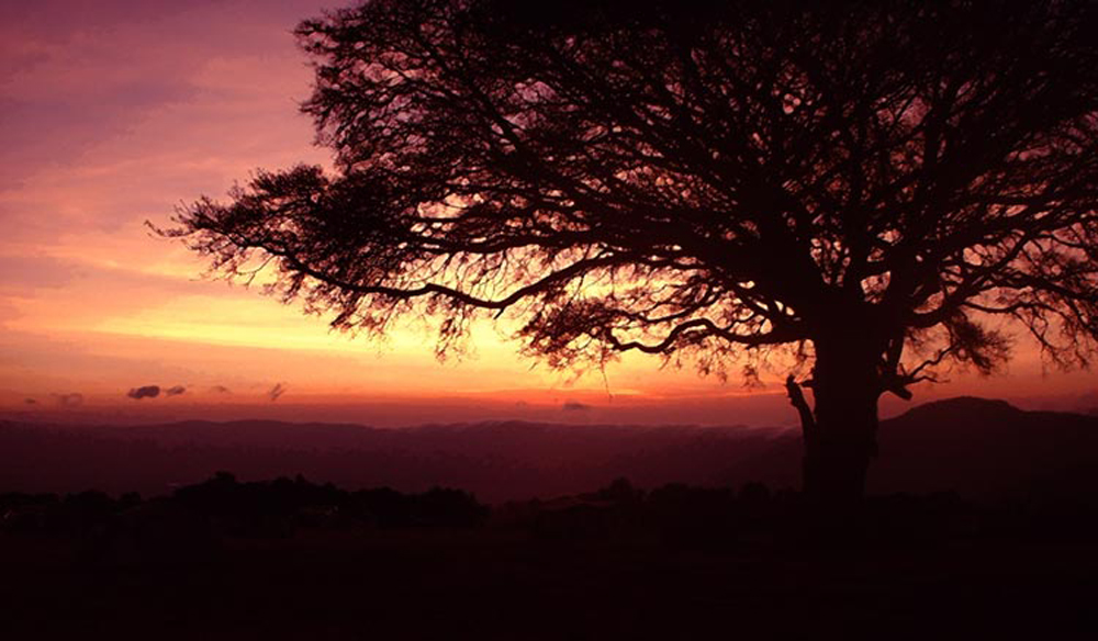 ngorongoro-crater-sunrise-lge