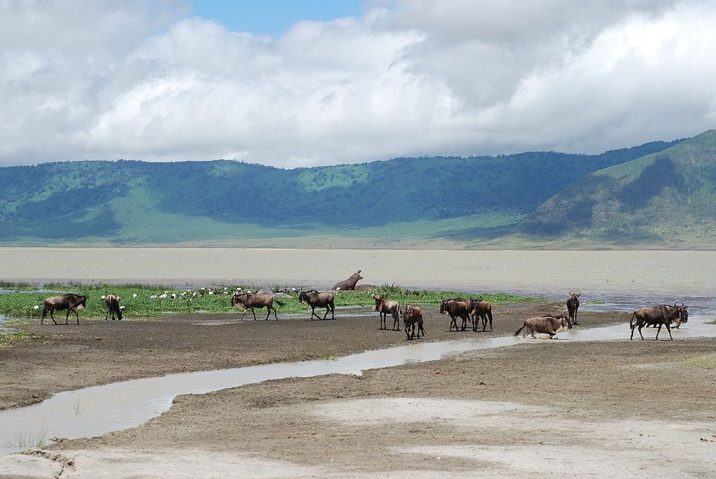 ngorongoro_crater_tanzania-author-sachi-gahan-from-san-francisco-usa