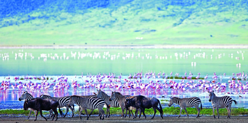 tour-ngoro-ngoro-5