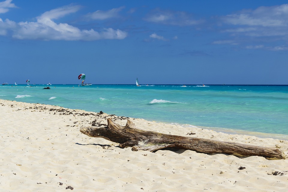 CANCUN MESSICO TRONCO