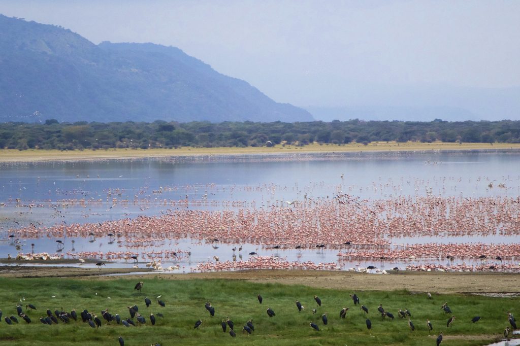 LAKE MANYARA NATIONAL PARK