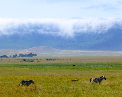 NGORONGORO CRATERE