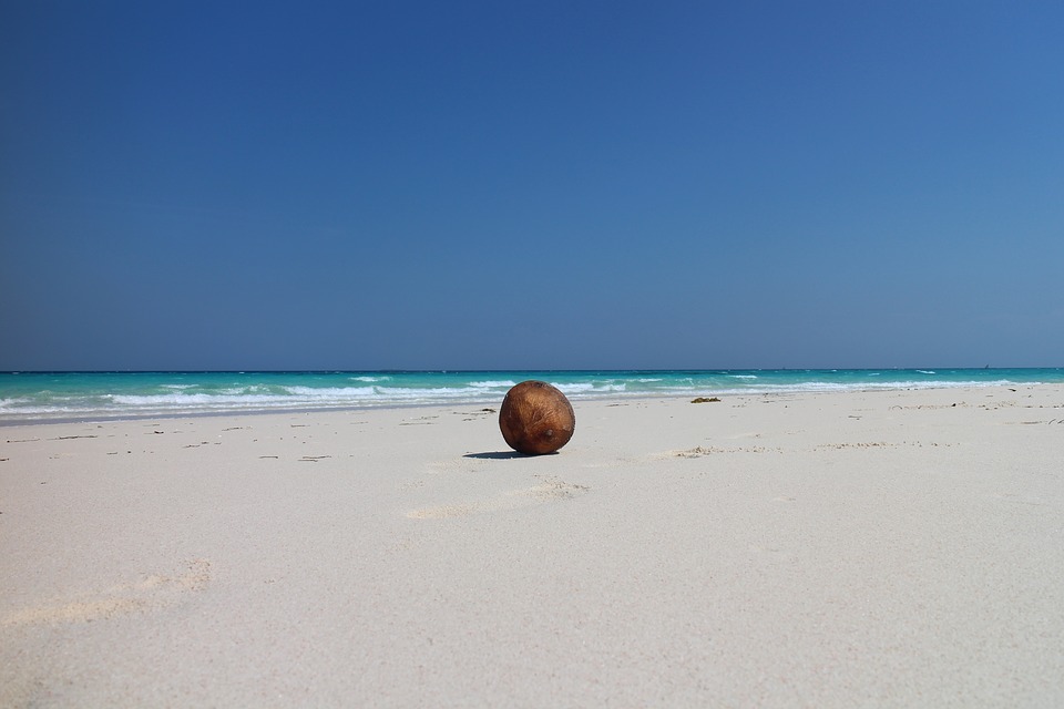 ZANZIBAR COCCO