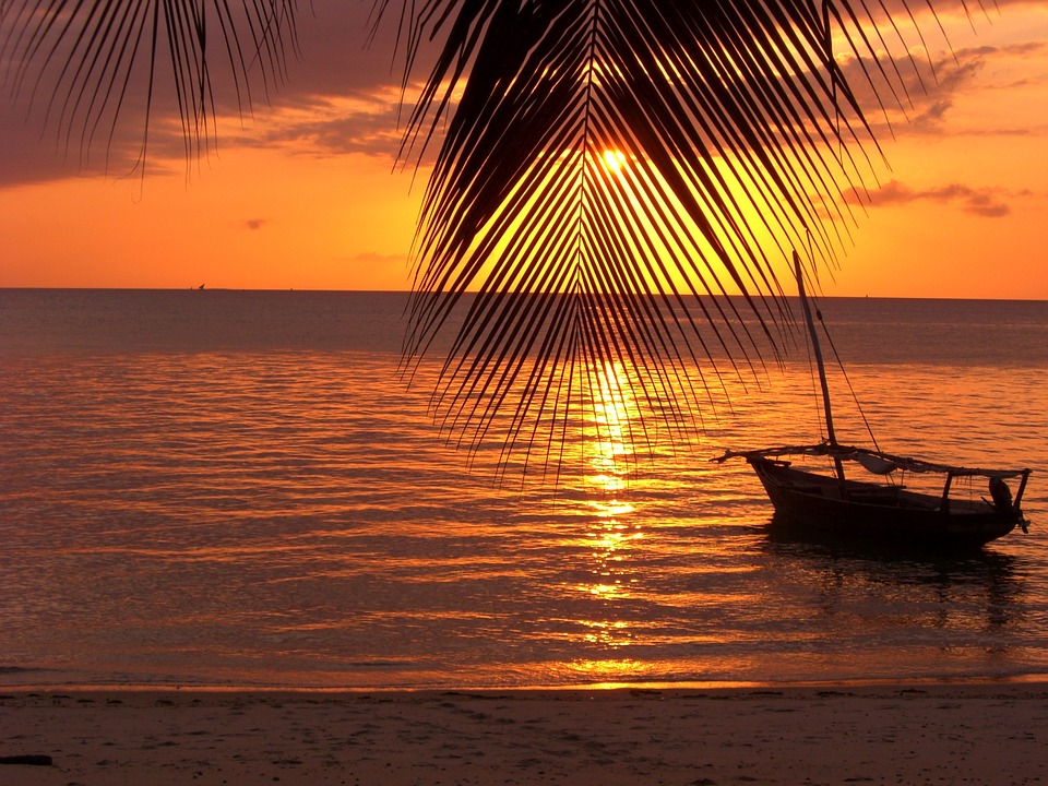 ZANZIBAR TRAMONTO PALMA