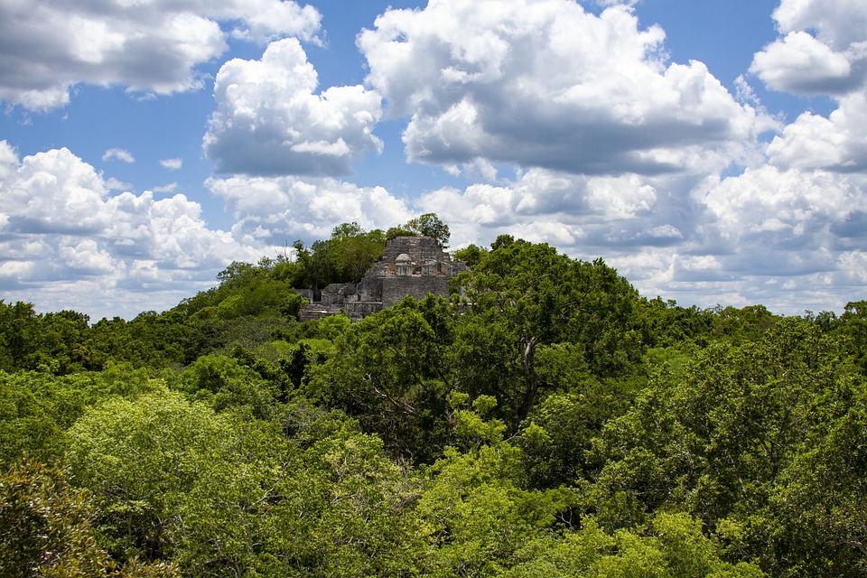 Calakmul rovine messico