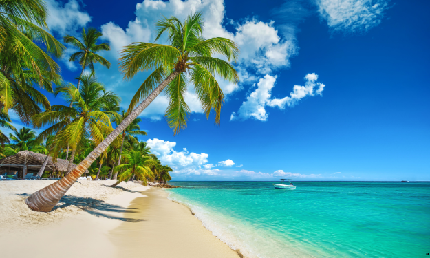 Spiaggia bianca con palme Repubblica Dominicana