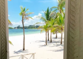 Camminamento pedonale in cemento chiaro circondato da una lussureggiante vegetazione tropicale e palme da cocco presso il Barracuda Inn Resort, che si apre come un invito verso la luminosa spiaggia di sabbia corallina sullo sfondo.
