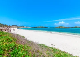 Suggestiva inquadratura dal basso della spiaggia bianca e soffice del Barracuda Inn Resort a Watamu, con grandi palme tropicali e vegetazione costiera che si stagliano nitidamente contro il cielo azzurro e luminoso del Kenya.