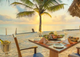Tavolo per due persone allestito sulla spiaggia con un vassoio di crostacei e vino davanti a una palma da cocco durante il tramonto a Zanzibar