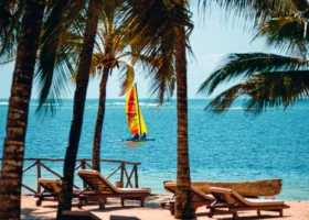 Scorcio sul mare incorniciato dai tronchi inclinati delle palme da cocco: un catamarano Hobie Cat dalla vela gialla e rossa naviga sull'acqua turchese, mentre in primo piano lettini in legno e una piccola staccionata segnano il limite della spiaggia ombreggiata.