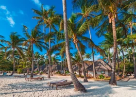 Area relax sulla spiaggia del resort Diamonds Mapenzi Beach a Zanzibar, caratterizzata da numerosi lettini prendisole disposti sulla sabbia bianca all'ombra di alte palme da cocco, con i tipici bungalow dai tetti in paglia sullo sfondo.