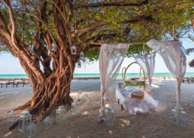 Allestimento per una cena romantica o un matrimonio sulla spiaggia del Diamonds Mapenzi Beach, con un tavolo riparato da un gazebo con leggeri veli bianchi accanto a un grande albero monumentale decorato con lanterne bianche appese.