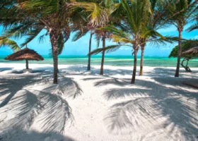 Una suggestiva veduta ravvicinata della spiaggia di sabbia bianca finissima del Jacaranda Beach Resort a Watamu, parzialmente ombreggiata da un fitto palmeto le cui ombre si riflettono sulla sabbia, con un ombrellone in paglia makuti sulla sinistra e l'oceano Indiano sfumato dal turchese al blu profondo all'orizzonte.