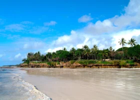 Ampia spiaggia di sabbia bianca finissima bagnata dal mare calmo durante la bassa marea. Sulla destra si erge una bassa scogliera sormontata da una fitta vegetazione tropicale, palme da cocco e i tetti in paglia makuti del Kole Kole Beach Resort sotto un cielo azzurro con nuvole bianche.