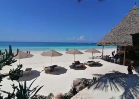 Ombrelloni in paglia e lettini disposti sulla sabbia bianca del My Blue Hotel davanti al mare cristallino di Zanzibar in una giornata soleggiata