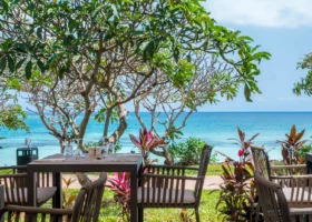 Tavolo in legno apparecchiato all'aperto nel ristorante del Riu Palace Zanzibar, posizionato all'ombra di alberi di frangipani e circondato da piante tropicali, con vista diretta sulle acque turchesi e cristalline del mare di Zanzibar.