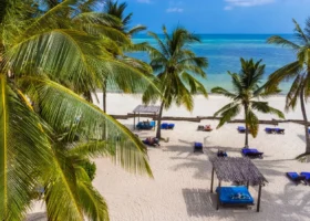 Vista panoramica dall'alto della spiaggia privata del Watamu Beach Resort, ombreggiata da grandi chiome di palme da cocco verdi, con lettini prendisole, gazebo in legno disposti sulla sabbia bianca e il mare del Kenya sullo sfondo.