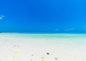 Ampia panoramica della spiaggia del Watamu Beach Resort in Kenya durante la bassa marea, caratterizzata da distese di sabbia bianca finissima e un mare calmo e trasparente con sfumature turchesi sotto un cielo azzurro limpido.