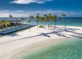 Veduta aerea della lunga piscina a sfioro affiancata all'area ristorante e circondata da palme da cocco, con la spiaggia di sabbia bianca finissima che degrada nella laguna turchese cristallina. Alila Kothaifaru Maldives, Isola di Kothaifaru, Atollo di Raa, Maldive.
