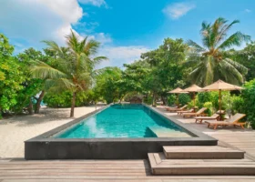Lunga piscina a sfioro dall'acqua turchese circondata da palme da cocco e vegetazione rigogliosa, con deck in legno, lettini prendisole e ombrelloni beige su un lato, al The Barefoot Eco Hotel sull'isola di Hanimaadhoo, Atollo di Haa Dhaalu, Maldive.