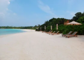 Ampia spiaggia di sabbia bianca finissima con una fila di lettini in legno e ombrelloni chiusi disposti lungo la vegetazione tropicale, affacciata sulla laguna turchese calma, al The Barefoot Eco Hotel, isola di Hanimaadhoo, Atollo di Haa Dhaalu, Maldive.