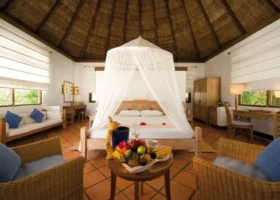 Interno di una beach villa di Coco Palm Dhuni Kolhu, isola di Dhuni Kolhu, Atollo di Baa, Maldive: alto soffitto conico in makuti con travi in legno, letto matrimoniale in legno chiaro con baldacchino in tulle bianco e petali di bougainvillea fucsia, pavimento in cotto, divano con cuscini blu, poltrone in vimini, scrittoio e specchiera in legno, cesto di frutta tropicale e finestre con tende a pacchetto affacciate sulla vegetazione.