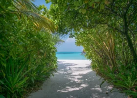 Sentiero di sabbia bianca che attraversa la fitta vegetazione tropicale di Coco Palm Dhuni Kolhu, isola di Dhuni Kolhu, Atollo di Baa, Maldive: fronde di palma, arbusti di scaevola e pandani formano un arco naturale che incornicia l'uscita sulla spiaggia, con la laguna turchese e il pontile delle water villa visibili in lontananza sotto il cielo azzurro, ombre delle foglie proiettate sulla sabbia.