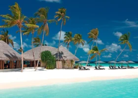 Spiaggia di sabbia bianca con edifici dal tetto in strame tra alte palme da cocco mosse dal vento, lettini e ombrelloni allineati lungo la laguna turchese cristallina sotto un cielo azzurro con nuvole. Constance Halaveli, Isola di Halaveli, Atollo di Ari Nord, Maldive