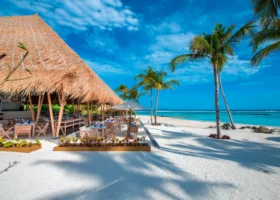 Ristorante fronte spiaggia con ampia struttura in bambù dal tetto in strame e tavoli apparecchiati con bicchieri blu, aiuole fiorite e ombrellone bianco sulla sabbia; palme da cocco e la laguna turchese all'orizzonte sotto un cielo azzurro. Emerald Maldives Resort & Spa, Fasmendhoo, Atollo di Raa.