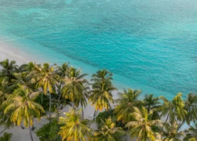 Spiaggia di sabbia bianca finissima del NAKAI Alimathà Resort, isola di Alimathà, atollo di Vaavu, Maldive, ripresa dall'alto nella calda luce del tramonto: fitta fila di palme da cocco che si affacciano sulla laguna dalle acque turchesi e cangianti dell'Oceano Indiano, con il degradare del fondale che passa dall'azzurro chiaro al blu.