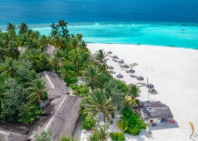 Spiaggia di sabbia bianca bordata da palme da cocco e fitta vegetazione, con ombrelloni in foglie di palma makuti, lettini e centro sportivo acquatico, affacciata sulla laguna turchese e sul mare blu dell'isola di Maayafushi, atollo di Ari Nord (Alif Alif), Maldive, Oceano Indiano.