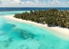 Veduta aerea della spiaggia bianca e della lingua di sabbia orlata di palme, con un kayak trasparente e persone che nuotano nella limpida laguna turchese dell'isola di Vakarufalhi, nell'Atollo di Ari Sud, circondata dall'Oceano Indiano, Maldive.