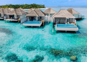 Ville sull'acqua dal tetto in makuti con terrazza e piscina privata a sfioro sospese sulla laguna turchese dai fondali corallini, con un ospite intento a fare snorkeling, presso Nova Maldives sull'isola di Vakarufalhi, Atollo di Ari Sud, Maldive.