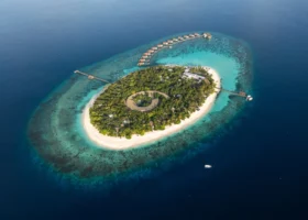 Ripresa aerea zenitale dell'isola ovale ricoperta di fitta vegetazione tropicale, circondata da spiaggia bianca e dalla barriera corallina a 360 gradi, con la fila curva di ville overwater collegate da un pontile che si allunga sull'oceano blu profondo dell'atollo di Gaafu Alifu, Maldive.