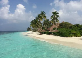 Spiaggia di sabbia bianca finissima con palme da cocco protese sul mare, ombrelloni in paglia e lettini davanti a un edificio dal tetto in makuti immerso nella vegetazione, bagnata dalla laguna turchese, sull'isola di Filaidhoo del Reethi Faru Resort, Atollo di Raa, Maldive, Oceano Indiano.