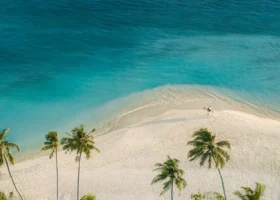 Veduta aerea della spiaggia di sabbia bianca dove una persona cavalca un cavallo bianco lungo la battigia, tra palme da cocco e l'acqua che sfuma dal turchese al blu; scorcio dell'unico ranch di cavalli delle Maldive. Siyam World Maldives, Dhigurah, Atollo di Noonu.