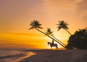 Silhouette al tramonto di una persona a cavallo sulla battigia sotto due palme da cocco inclinate, con il cielo che si tinge di arancio e oro e il sole che cala sull'oceano; la firma dell'esperienza equestre di Siyam World. Isola di Dhigurah, Atollo di Noonu, Maldive.