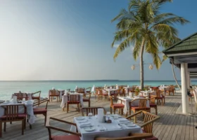 Terrazza ristorante sul mare con deck in legno, tavoli apparecchiati con tovaglie bianche e sedie dai cuscini bordeaux, una palma da cocco che svetta accanto al padiglione dal tetto verde e la laguna turchese che si apre all'orizzonte. Siyam World Maldives, Dhigurah, Atollo di Noonu.