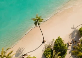 Veduta aerea dall'alto della spiaggia di sabbia bianca con una palma da cocco solitaria che proietta la sua ombra sulla riva, lambita dall'acqua turchese cristallina; sul lato la fitta vegetazione tropicale con un ombrellone in paglia. Siyam World Maldives, Isola di Dhigurah, Atollo di Noonu.