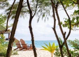 Due sdraio in legno tipo Adirondack sulla sabbia bianca incorniciate dai tronchi degli alberi di casuarina, con l'oceano turchese e la barriera corallina all'orizzonte e una beach villa intravista sulla sinistra, a Ziyaaraifushi, atollo di Malé Nord, Maldive.