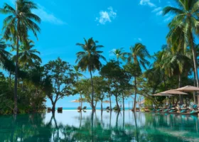 Grande piscina a sfioro che specchia le alte palme da cocco e gli alberi tropicali, con lettini dai cuscini turchesi e ombrelloni lungo il bordo; oltre il verde si intravedono la spiaggia e l'Oceano Indiano sotto un cielo azzurro intenso, Vakkaru Maldives, Atollo di Baa.