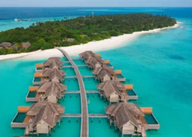 Veduta aerea delle ville overwater dal tetto in strame disposte a spina di pesce lungo un pontile in legno sopra la laguna turchese, ciascuna con terrazza privata e piscina a sfioro; alle spalle l'isola coperta di palme e la spiaggia bianca di Vakkaru Maldives, Atollo di Baa, Oceano Indiano.