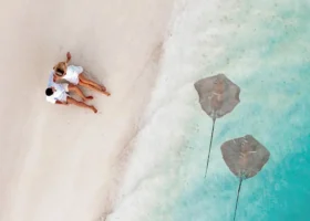 Ripresa aerea dall'alto di una coppia vestita di bianco distesa sulla sabbia candida a filo dell'acqua, mentre due razze grigie nuotano lente nel bassofondo turchese e cristallino lungo la battigia dell'isola di Nalaguraidhoo, Atollo di Ari Sud, Maldive, Oceano Indiano.